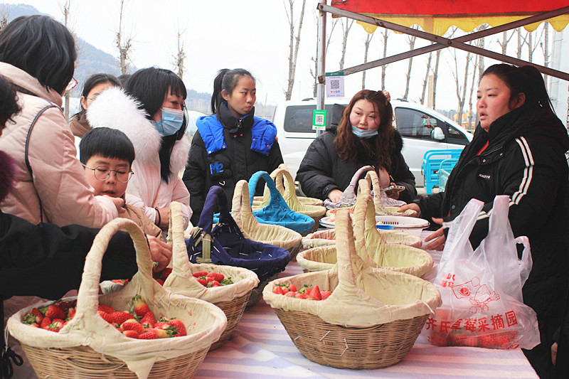 ��ݮ�h��c�´� | ���f�(zh��n)��ɽ�ڲ�ݮ��ժ��(l��)Ȥ���������w�(y��n)�e����ζ