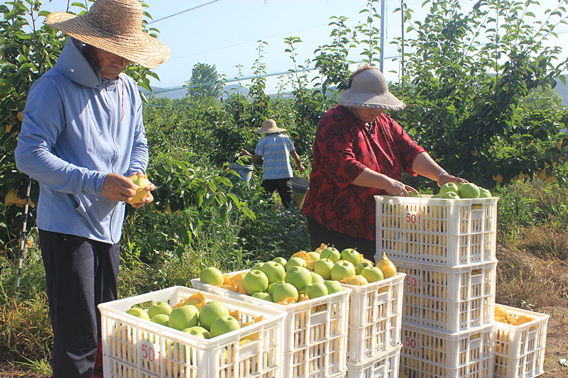 ��óԣ����Ѕ^(q��)ǰ�����@��(g��)���@������������